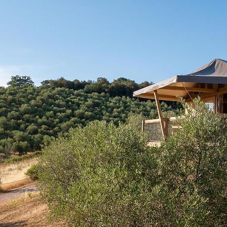 Glamping Podere San Jacopo 马萨马里蒂马 外观 照片