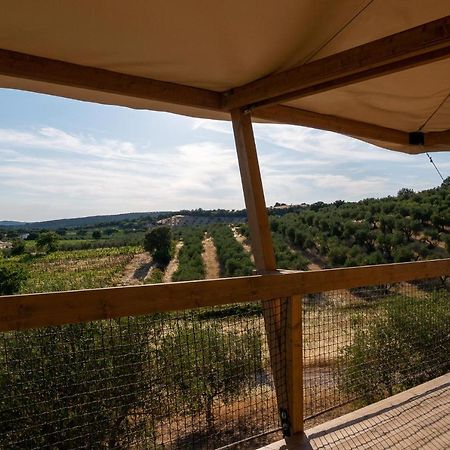 Glamping Podere San Jacopo 马萨马里蒂马 外观 照片