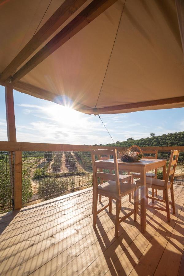 Glamping Podere San Jacopo 马萨马里蒂马 外观 照片