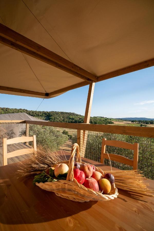 Glamping Podere San Jacopo 马萨马里蒂马 外观 照片