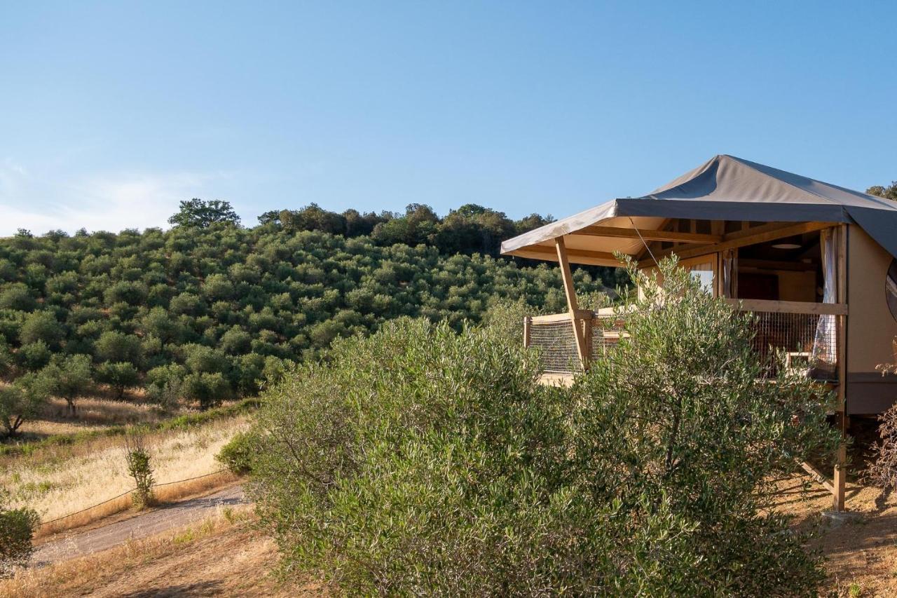 Glamping Podere San Jacopo 马萨马里蒂马 外观 照片