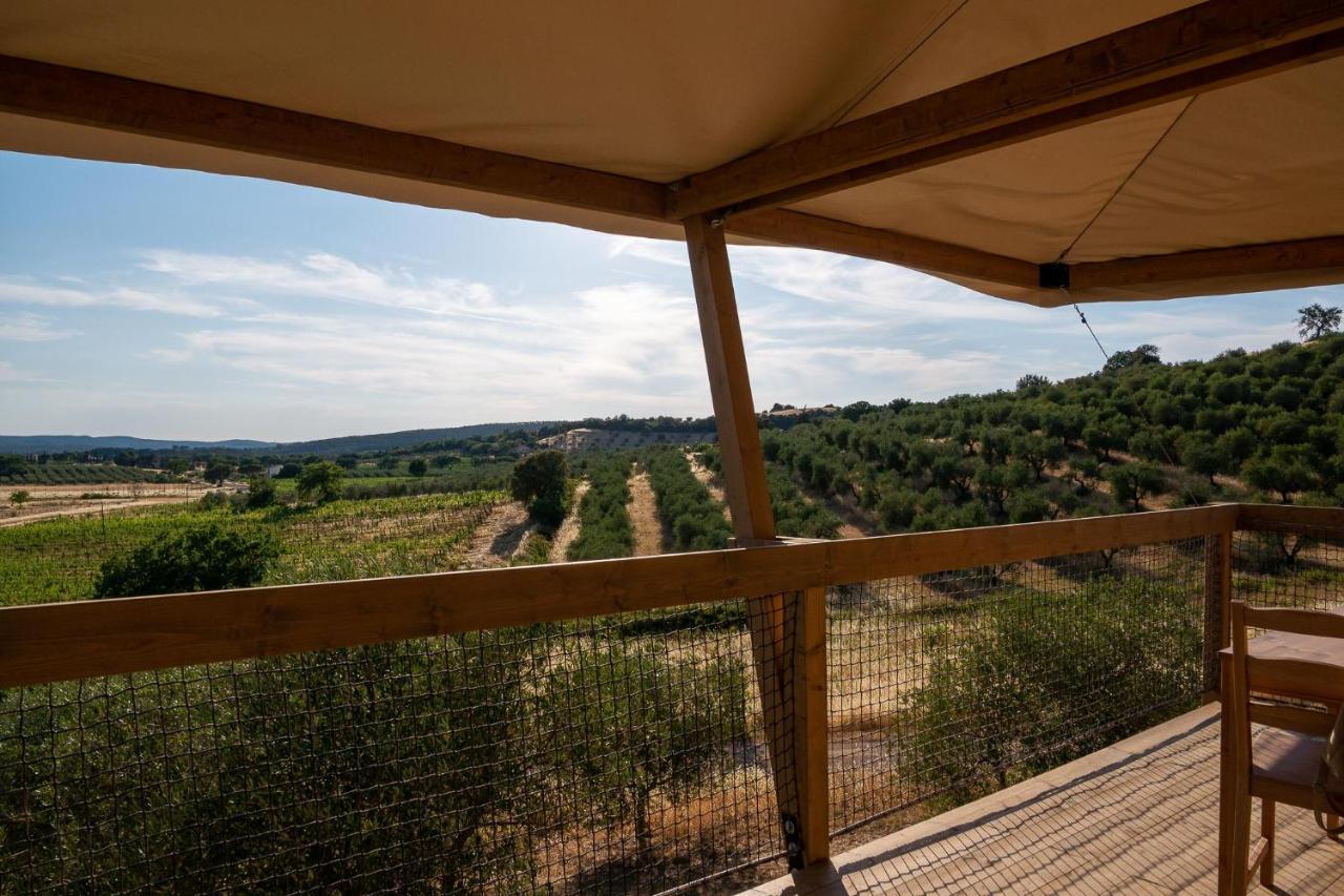 Glamping Podere San Jacopo 马萨马里蒂马 外观 照片