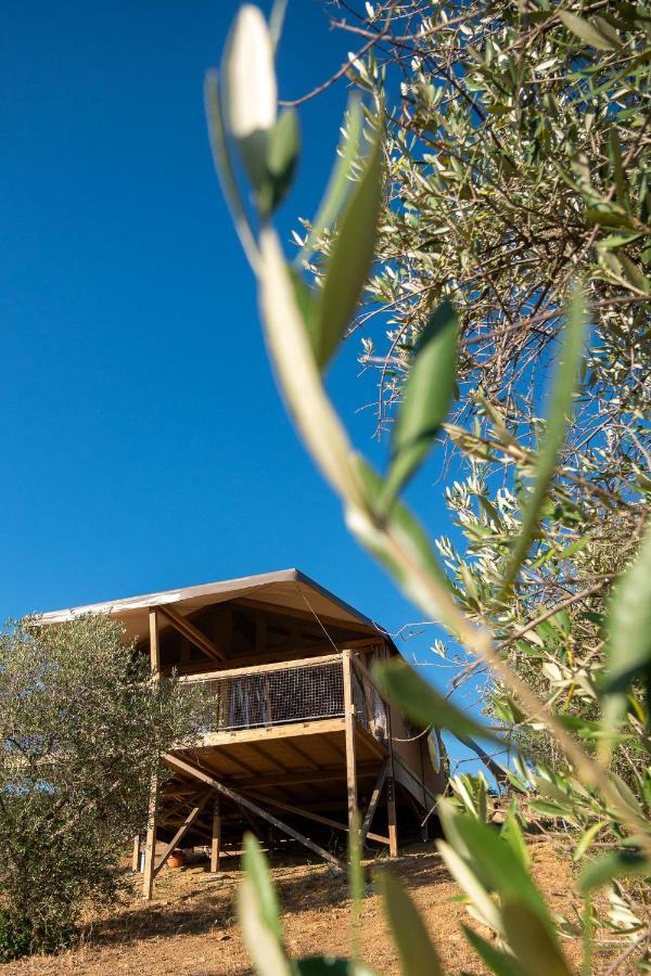 Glamping Podere San Jacopo 马萨马里蒂马 外观 照片